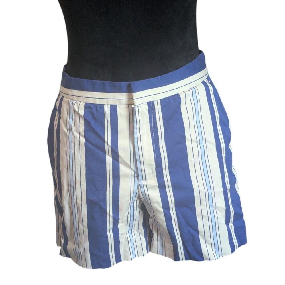Banana Republic Size 8 Ryan Fit Blue White Striped Shorts Nautical Classic